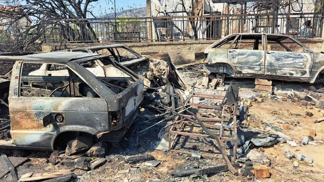 Meriç Bölgesi'nde yanan ormanlık alanda ceset bulundu - Resim: 25